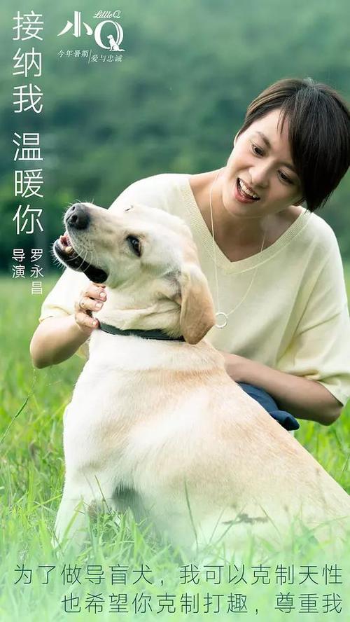 交通银行存款证明怎么买到